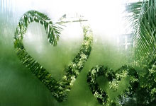 门兴格拉德巴赫在最新比赛中取得胜利