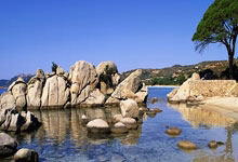 门兴格拉德巴赫在最新比赛中取得胜利