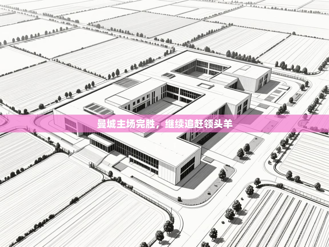 曼城主场完胜，继续追赶领头羊  第1张