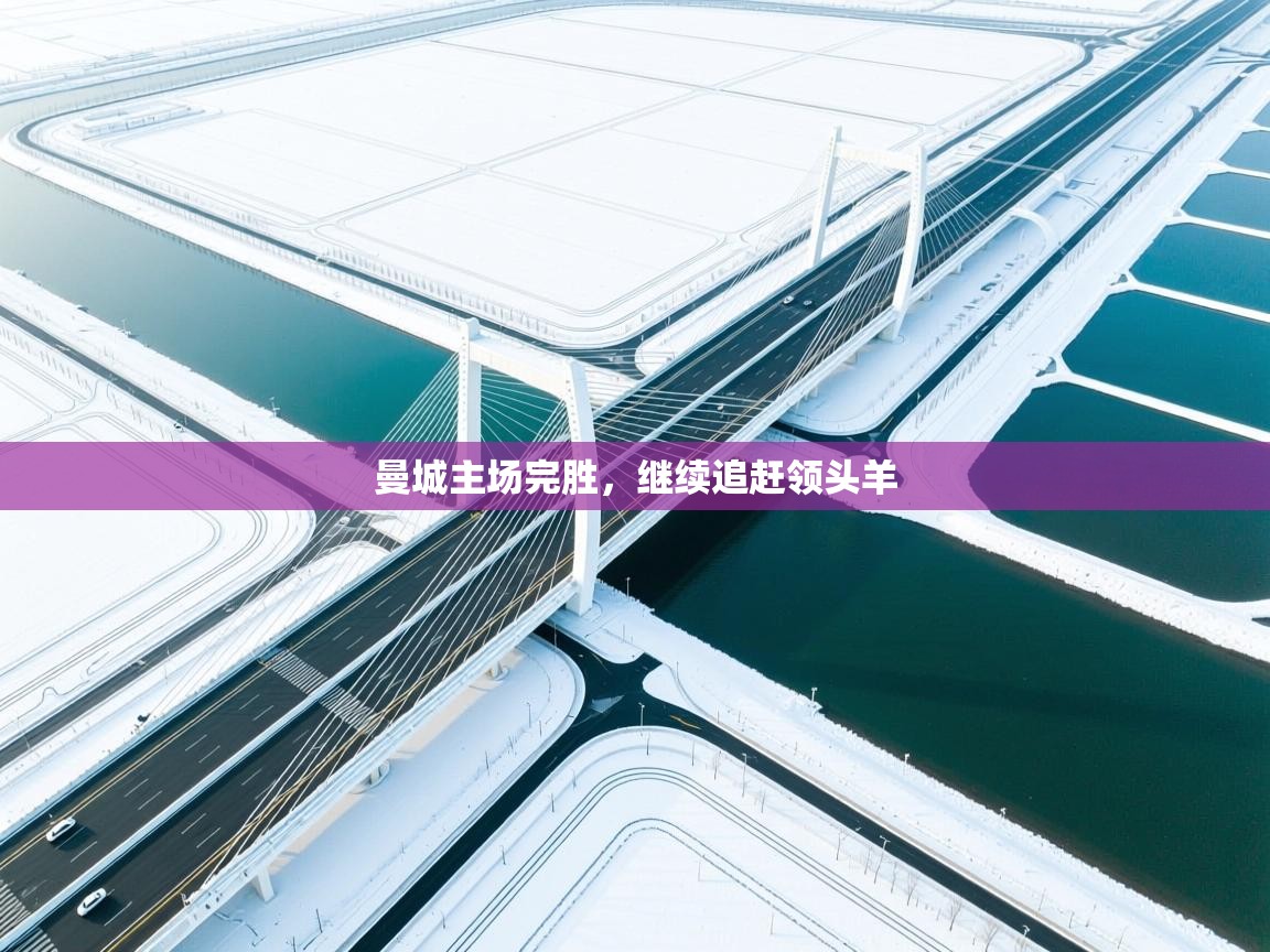 曼城主场完胜，继续追赶领头羊  第2张