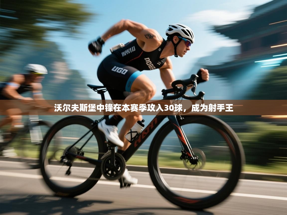 沃尔夫斯堡中锋在本赛季攻入30球,成为射手王 第1张