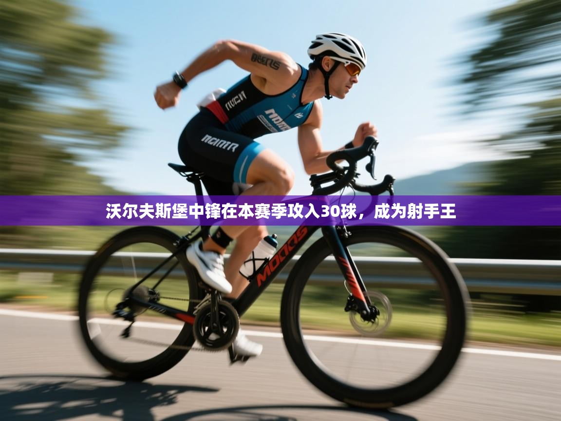 沃尔夫斯堡中锋在本赛季攻入30球,成为射手王 第2张