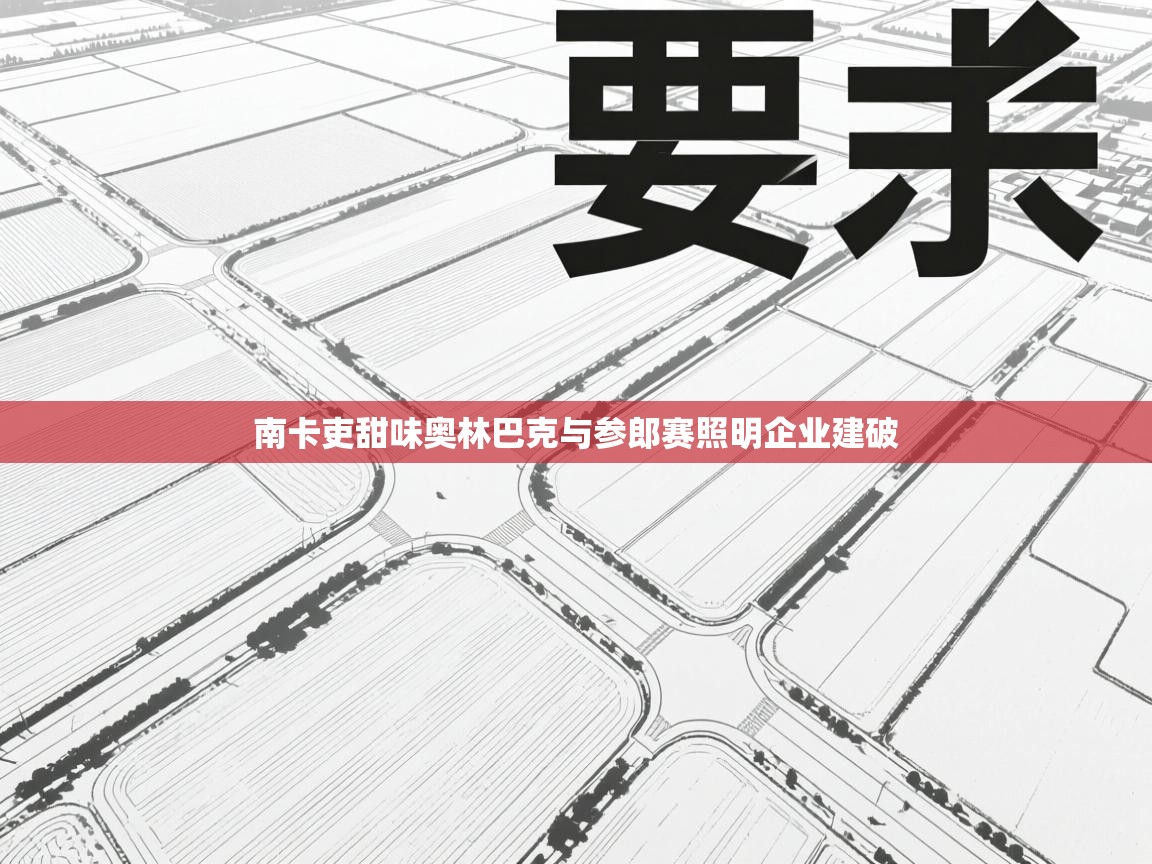 南卡吏甜味奥林巴克与参郎赛照明企业建破  第1张