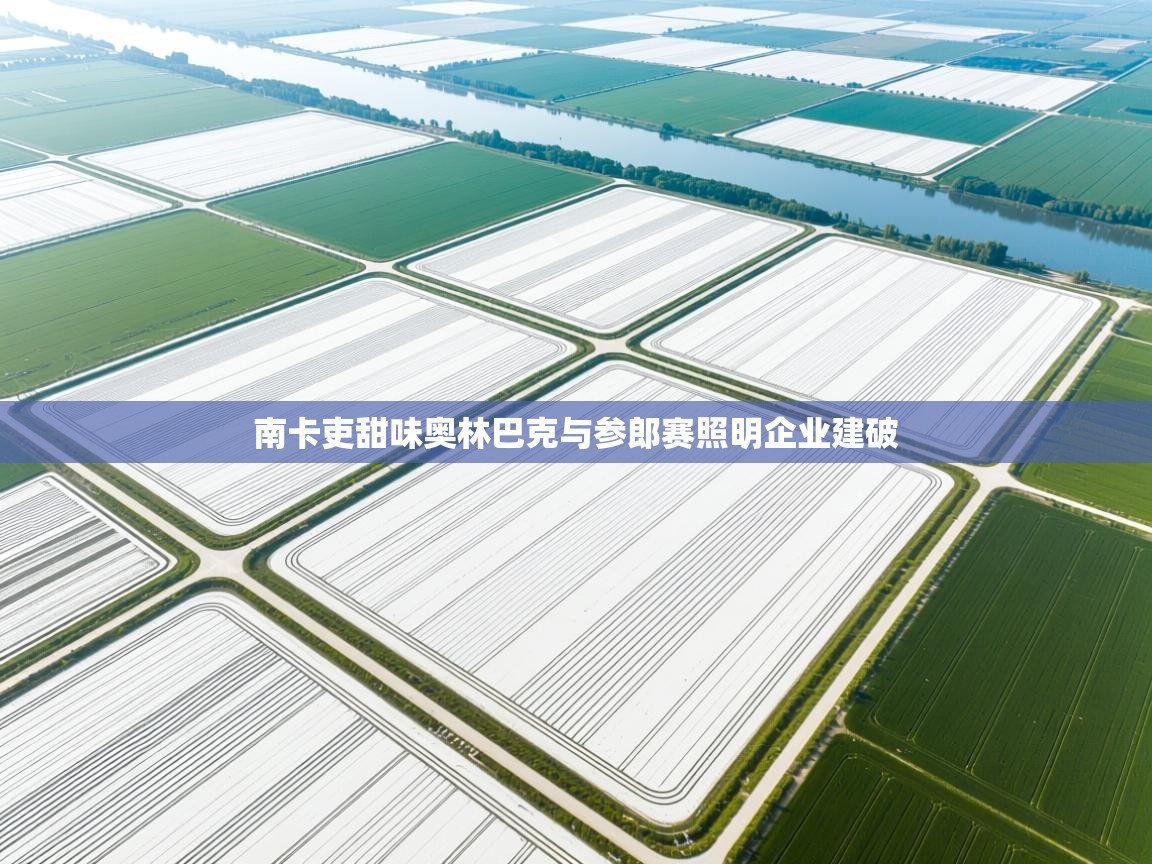 南卡吏甜味奥林巴克与参郎赛照明企业建破  第2张