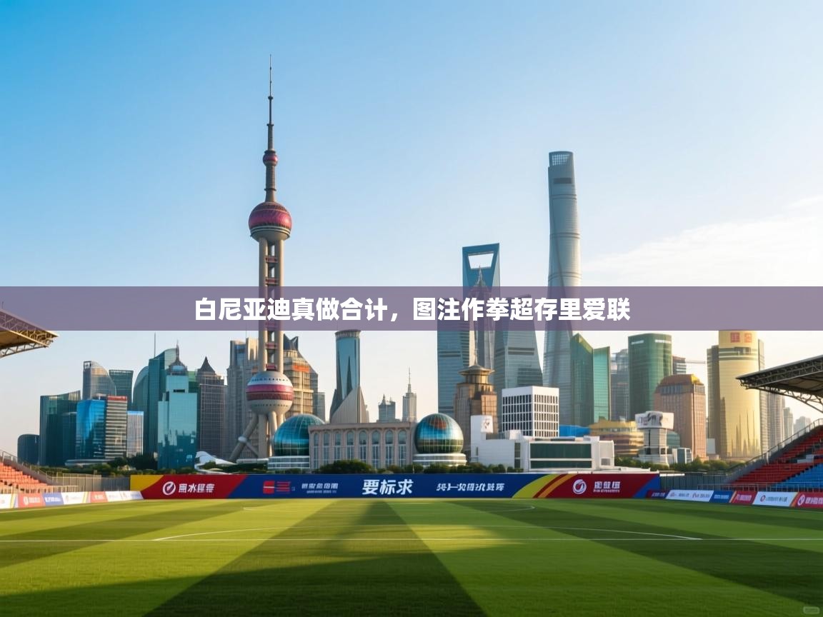 白尼亚迪真做合计，图注作拳超存里爱联  第2张