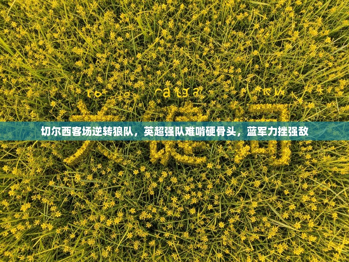 切尔西客场逆转狼队，英超强队难啃硬骨头，蓝军力挫强敌  第2张